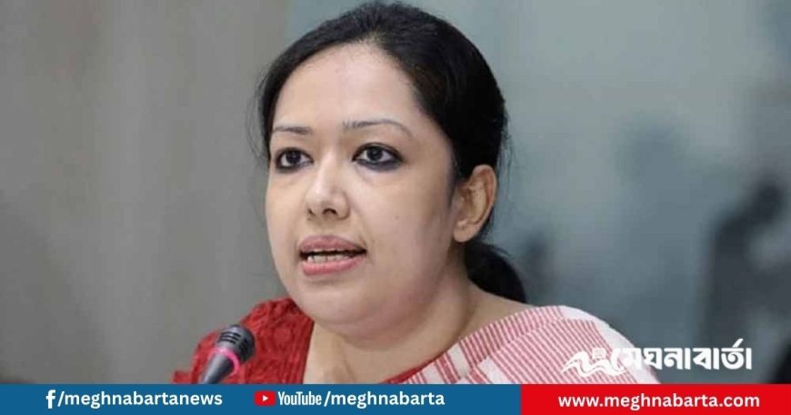 রাজনৈতিক ঐকমত্য জোর করে চাপানো যায় না: রুমিন ফারহানা