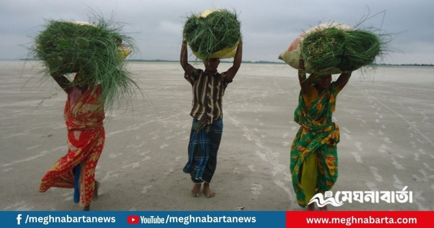 যমুনার চরে নারীর লড়াই