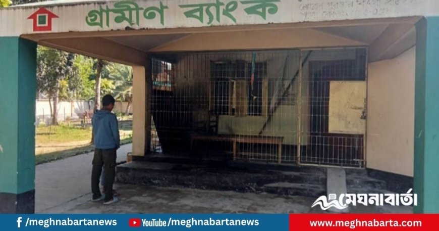 বগুড়ায় গ্রামীণ ব্যাংকে আগুন