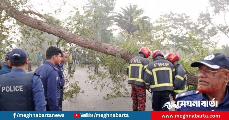 মাদারীপুরে মহাসড়ক অবরোধের চেষ্টা ব্যর্থ, দুই ঘণ্টা পর উদ্ধার