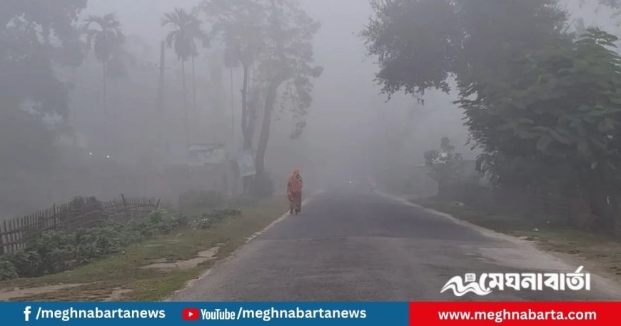 হিমেল বাতাসে ১৩ ডিগ্রির ঘরে তেঁতুলিয়ার তাপমাত্রা
