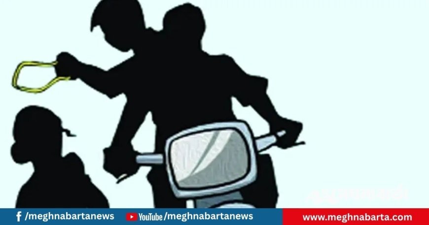 নারীর হাতে মার খেয়ে অস্ত্র ফেলে পালাল ৩ ছিনতাইকারী