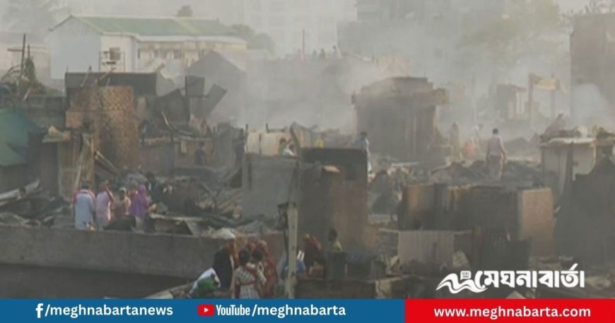 আগুনে পুড়ে ছাই কড়াইল বস্তি, বাসিন্দাদের আর্তনাদ