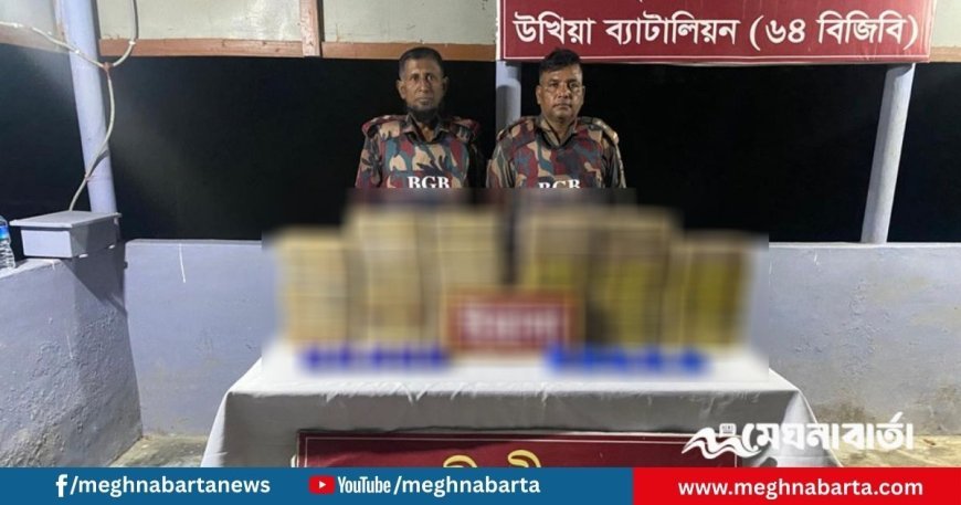 উখিয়ায় সীমান্ত এলাকা থেকে ৩ লাখ ৬০ হাজার ইয়াবা উদ্ধার