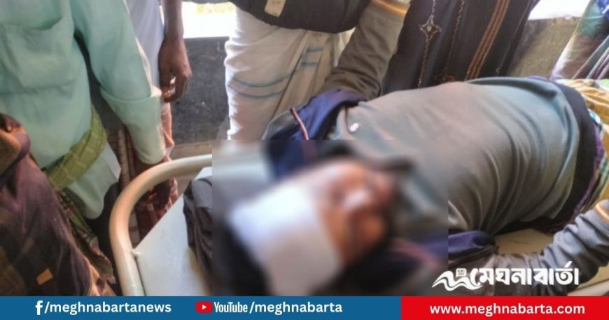 তাড়াশে মাছ ধরাকে কেন্দ্র করে সংঘর্ষে আহত ৩০