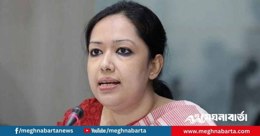 খালেদা জিয়ার অসুস্থতার জন্য হাসিনাকে জবাবদিহি করতে হবে : রুমিন ফারহানা