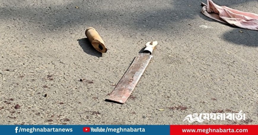 খুলনায় আদালত প্রাঙ্গণে গুলি ও কুপিয়ে দুই আসামি হত্যা