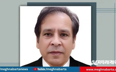 সব জল্পনার অবসান, হবিগঞ্জ-১ এ ধানের শীষ পেলেন রেজা কিবরিয়া