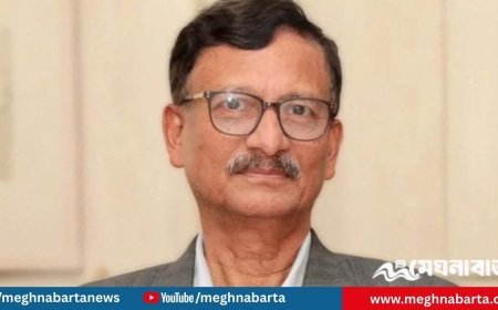 শেখ হাসিনাকে ফেরত বিষয়ে ভারতের এখনও ইতিবাচক সাড়া নেই : পররাষ্ট্র উপদেষ্টা