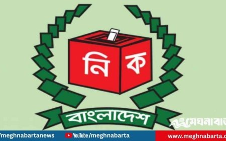 প্রবাসী ভোটার নিবন্ধন ছাড়াল ১ লাখ ৯৩ হাজার