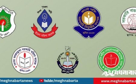 অধ্যাদেশ চূড়ান্ত না হওয়ায় আবারও রাস্তায় সাত কলেজের শিক্ষার্থীরা