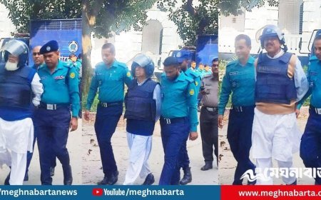 সাবেক মন্ত্রী-প্রতিমন্ত্রীসহ ১৭ জনকে মানবতাবিরোধী অপরাধ ট্রাইব্যুনালে হাজির