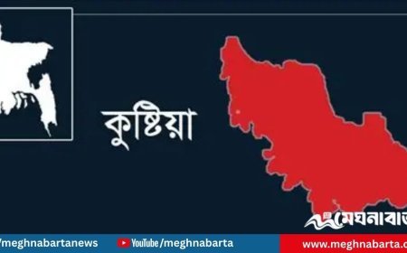 কুষ্টিয়ায় দিনদুপুরে বিধবা নারীকে জবাই করে হত্যা