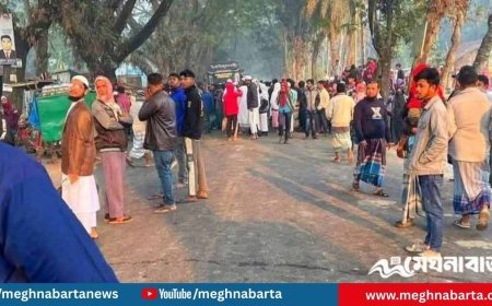 চাঁদপুরে মায়ের সামনেই সড়কে প্রাণ গেল শিশুর