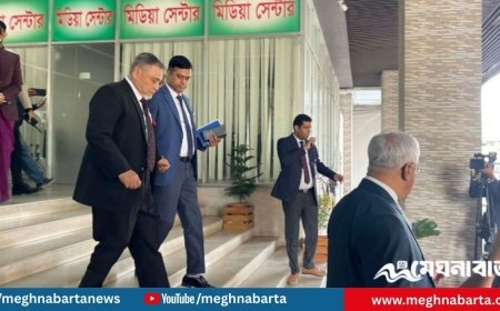 রাষ্ট্রপতির সঙ্গে সাক্ষাৎ করতে বঙ্গভবনে গেলেন সিইসি নাসির উদ্দিন