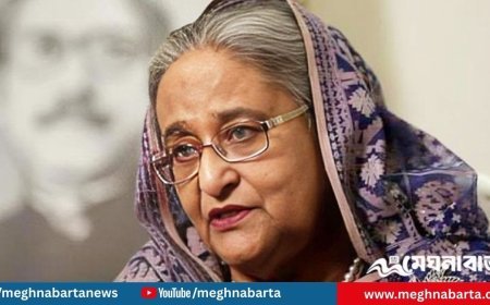 শেখ হাসিনার তৃতীয় দেশে যাওয়া নিয়ে কোনো তথ্য নেই: পররাষ্ট্র উপদেষ্টা