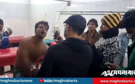 গোপালগঞ্জে পার্কে স্টাফদের হামলার শিকার জেলা ছাত্রদল সভাপতি