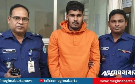 নারীর বিবস্ত্র ভিডিও ধারণের পর ধর্ষণ, প্রধান অভিযুক্ত গ্রেপ্তার