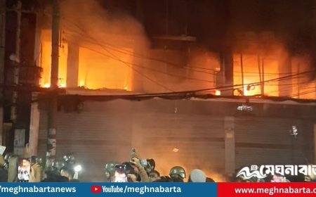 প্রথম আলো ও ডেইলি স্টারে হামলা: যুক্তরাষ্ট্র প্রবাসীদের তীব্র প্রতিবাদ