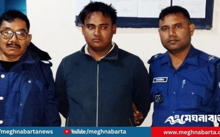 হান্নান মাসউদকে হত্যার হুমকি দেওয়ার অভিযোগে একজন আটক