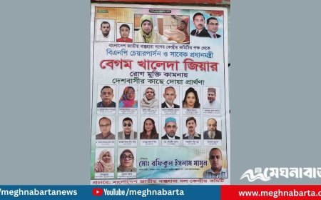 বিএনপিতে ‘বাংলাদেশ জাতীয় বাস্তুহারা দল’ নামে নতুন হকারি সংগঠন; ক্ষোভ ও বিতর্ক