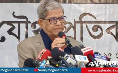 আমরা কোন বাংলাদেশে দাঁড়িয়ে আছি জানি না : মির্জা ফখরুল