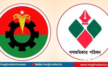 বিএনপির প্রস্তাব প্রত্যাখ্যান করে একক পথে নুরুল হক নুরের দল