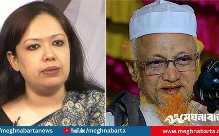 রুমিন ফারহানা বাদ, জুনায়েদ আল হাবিবকে সমর্থন দিলো বিএনপি