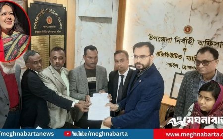 মনোনয়ন না পেয়ে স্বতন্ত্র লড়াই ঘোষণা করলেন রুমিন ফারহানা