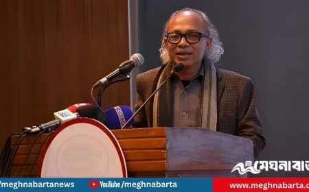 প্রথম আলো–ডেইলি স্টার হামলা ছিল সংগঠিত, সরকার আগেই জানত: নূরুল কবীর