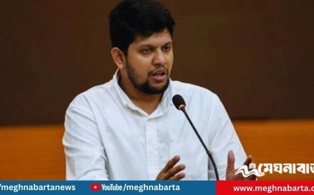 নির্বাচনে প্রতিদ্বন্দ্বিতা করছেন না সাবেক তথ্য উপদেষ্টা মাহফুজ আলম