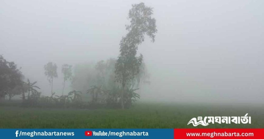 পঞ্চগড়ে শীতের তীব্রতা বেড়েছে, নেমেছে ১১ ডিগ্রিতে