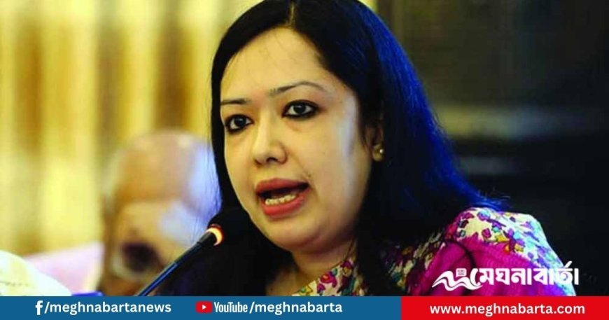 ‘মাইনাস টু বা ফোর’ সফল হবে না বললেন রুমিন ফারহানা