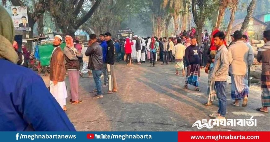 চাঁদপুরে মায়ের সামনেই সড়কে প্রাণ গেল শিশুর