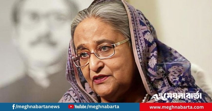 শেখ হাসিনার তৃতীয় দেশে যাওয়া নিয়ে কোনো তথ্য নেই: পররাষ্ট্র উপদেষ্টা