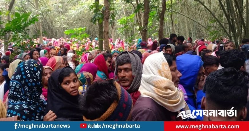 কুষ্টিয়ায় বাঁশঝাড় থেকে কলেজ শিক্ষার্থীর মরদেহ উদ্ধার