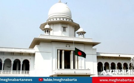 সংসদ নির্বাচন ও গণভোট একসঙ্গে: তফসিলের বৈধতা চ্যালেঞ্জ করে রীট