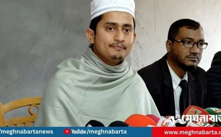 হলফনামার ভুল ছিল টাইপিংজনিত, অপপ্রচার চলছে: সারজিস আলম