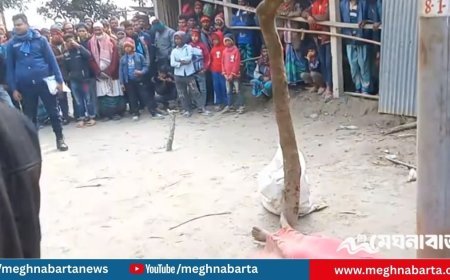 চোর সন্দেহে যুবককে পিটিয়ে হত্যার অভিযোগ, আটক ৩