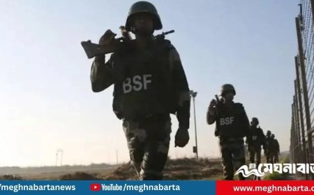 রৌমারী সীমান্তে গুলি ছুড়ে বাংলাদেশি যুবককে ধরে নিয়ে গেছে বিএসএফ