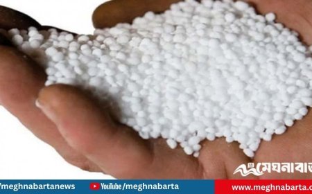 সৌদি আরব থেকে ৪০ হাজার টন ইউরিয়া সার আমদানির অনুমোদন, ব্যয় ১৯১ কোটি টাকা