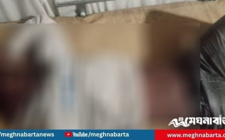 চাঁদপুরে গভীর রাতে সড়ক দুর্ঘটনা, অটোরিকশা যাত্রী নিহত