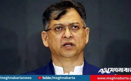 পোস্টাল ব্যালট নিয়ে বিতর্কে ক্ষতিগ্রস্ত হচ্ছে বিএনপি: সালাহউদ্দিন