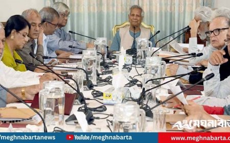 গণভোটের গুরুত্ব তুলে ধরতে জেলায় জেলায় উপদেষ্টা পরিষদের প্রচারণা