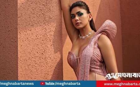 ধানুশের সঙ্গে বিয়ের গুঞ্জন: নীরবতা ভাঙলেন ম্রুণাল ঠাকুর