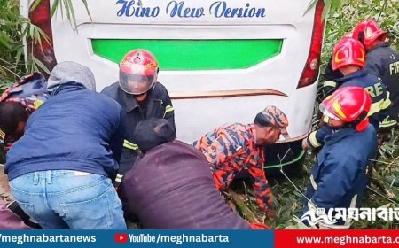 ইজিবাইককে চাপা দিয়ে খাদে যাত্রীবাহী বাস, মাদারীপুরে নিহত ৬