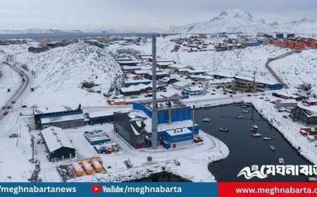 গ্রিনল্যান্ডে সামরিক বিমান মোতায়েনের ঘোষণা যুক্তরাষ্ট্রের