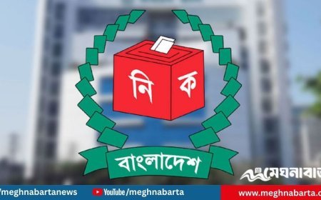 প্রতীক বরাদ্দ আজ, কাল থেকেই নির্বাচনী মাঠে প্রার্থীরা