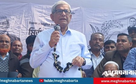 দাঁড়িপাল্লা নিয়ে যারা আসছে তারা স্বাধীনতার বিরোধী ছিল: মির্জা ফখরুল