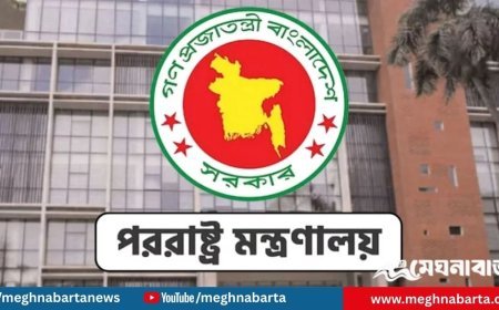 নির্বাচনের দিন ও আগে যেকোনো সহিংসতার দায় আওয়ামী লীগকে নিতে হবে: অন্তর্বর্তী সরকার